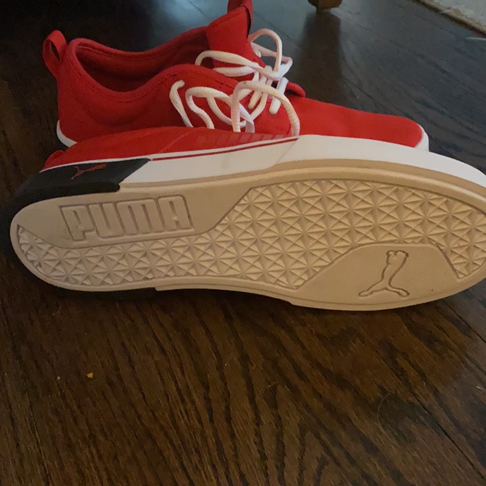 Puma El Rey II - Picture 4 of 4